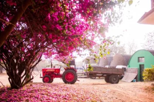 how to check hydraulic fluid on mahindra tractor